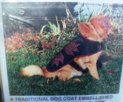 BEAR PAW TRADITIONAL DOG COAT QLTD BEAR PAW BLOCK PATTERN LG,SM